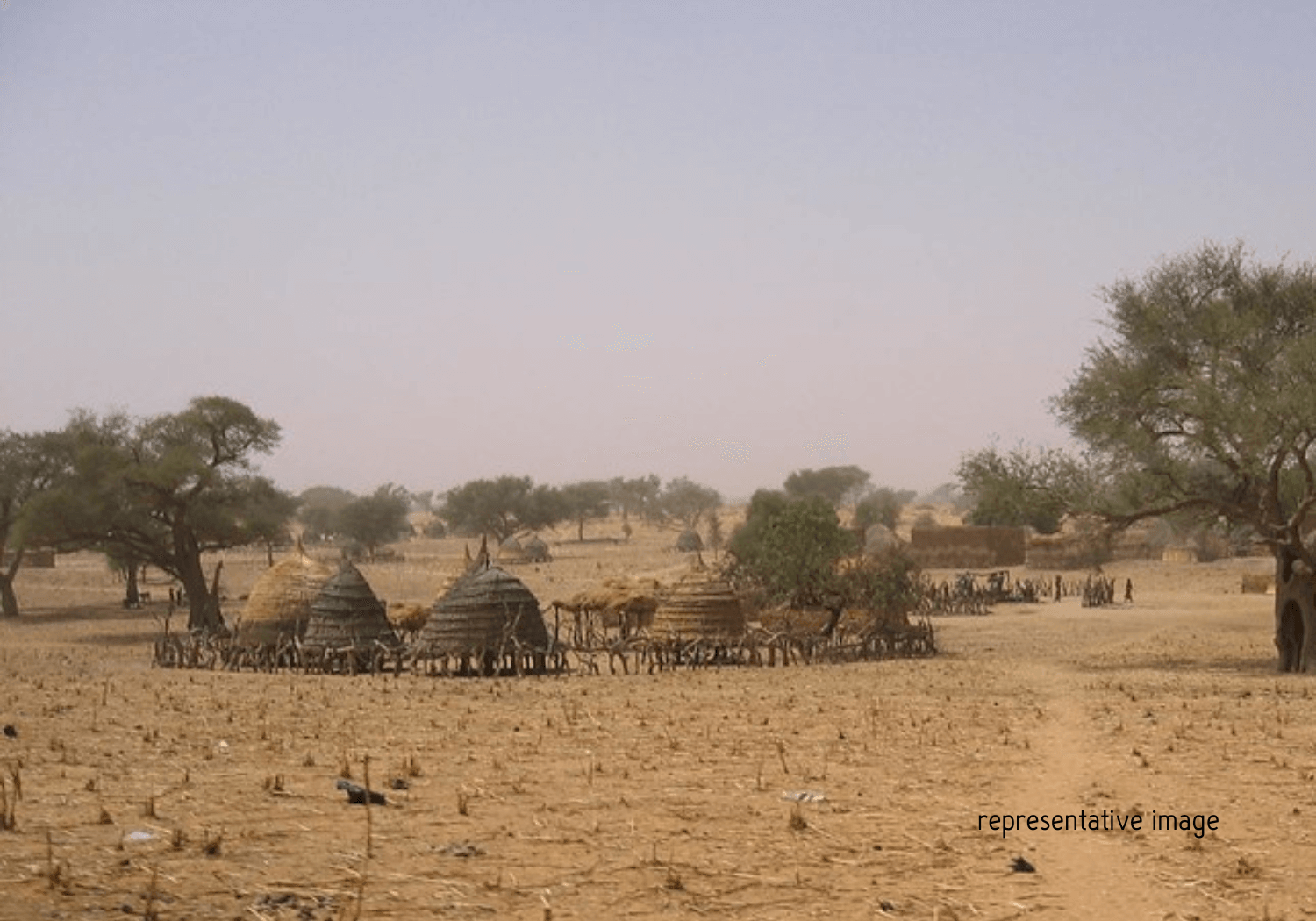 re[resemtatove o,age